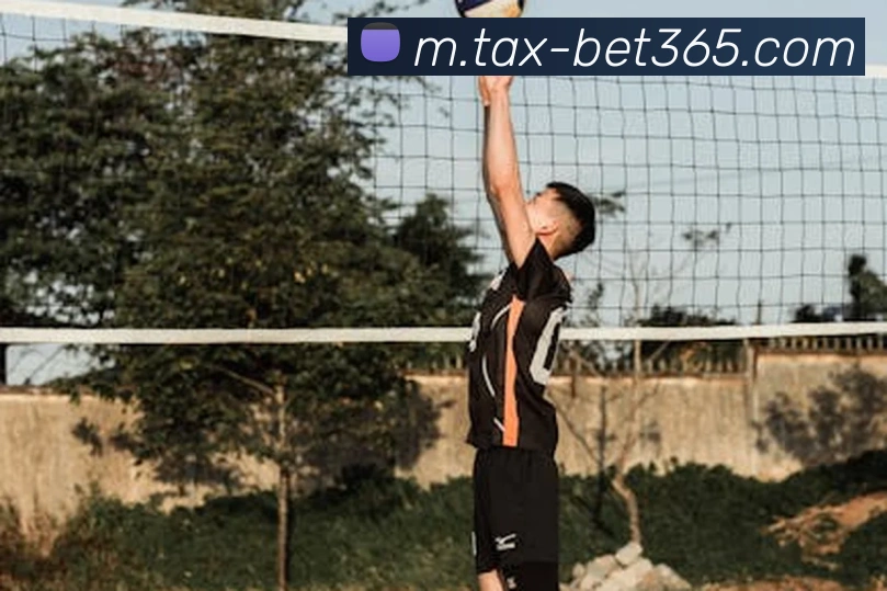 bet365平台生态图